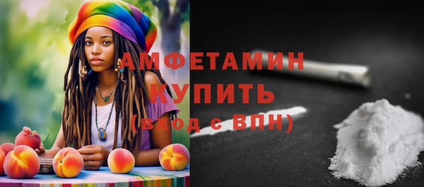 дживик Пересвет