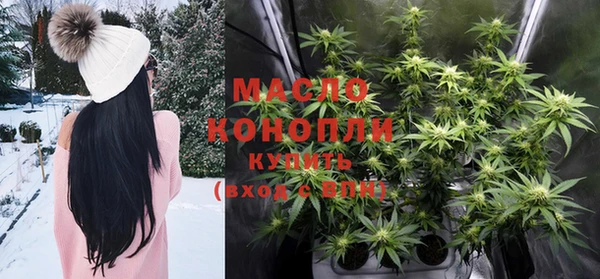 дживик Пересвет