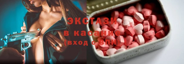 дживик Пересвет