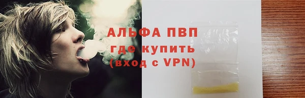 дживик Пересвет