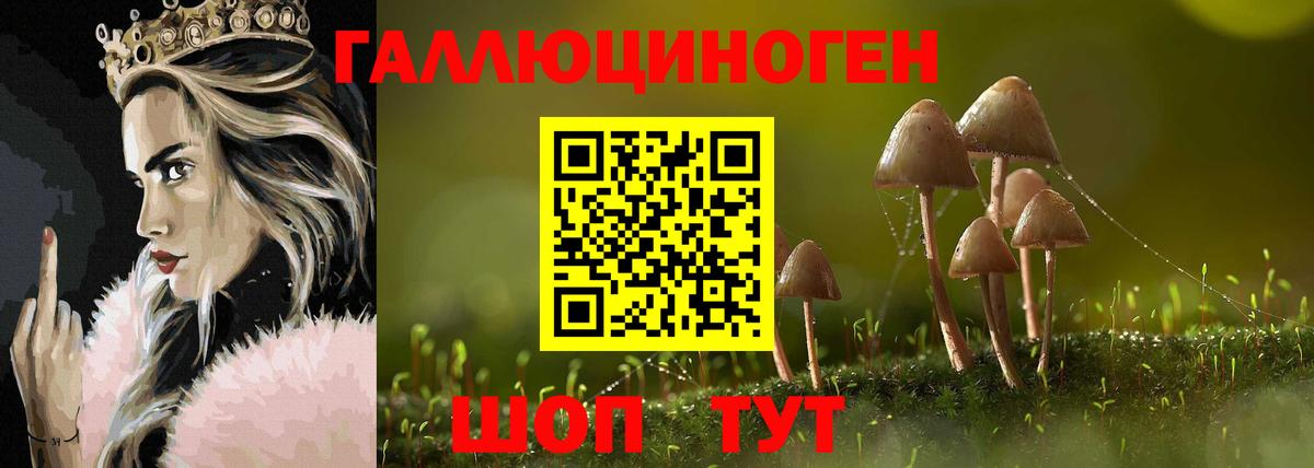 Псилоцибиновые грибы GOLDEN TEACHER Россошь